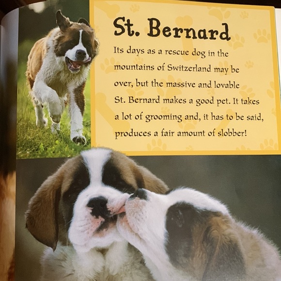 SCHOLASTIC- I LOVE ❤️ DOGS & PUPPIES- Over 50 Breeds - 120 pages of Doggie Love! - Picture 4 of 10